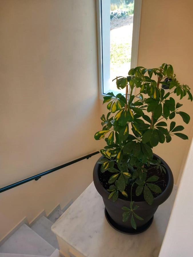 Evangelia's - 3 Bedroom Sea View *